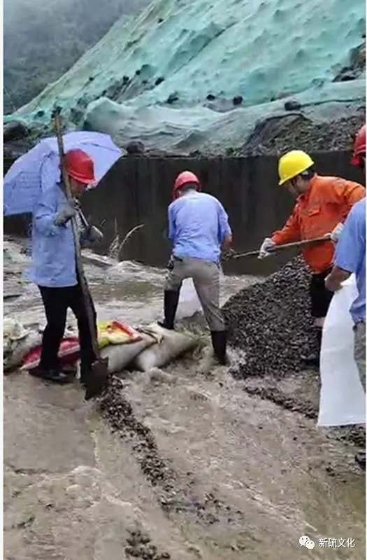 银娱优越会·GEG(中国)股份有限公司