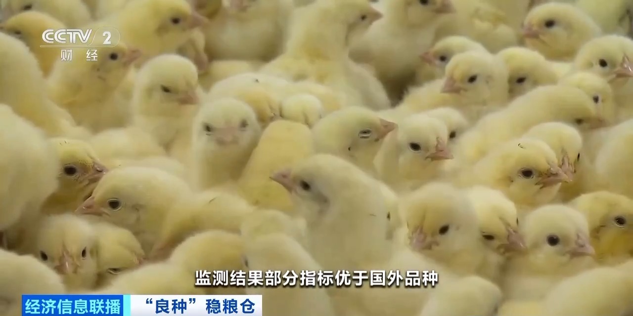 20260408094152_46030 K1体育-十年品牌 值得信任