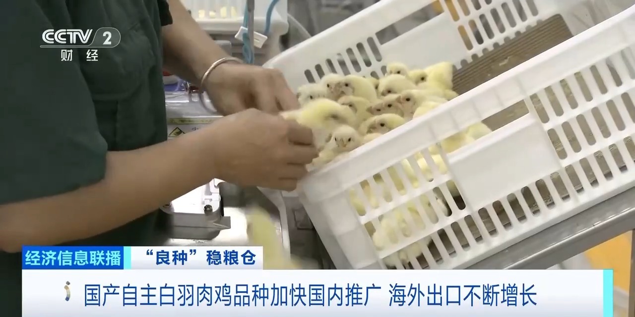 20260408094220_95222 K1体育-十年品牌 值得信任